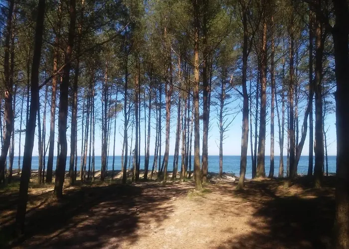 Biale Zacisze Lodge Mielenko